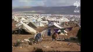 مخيم البقعة عام 1969