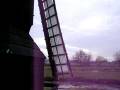 videos de wit