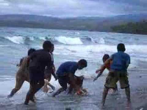 Children Playing at Beach in Solomon ...