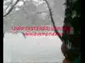 kreyzi gen�ler (Hal?dereliler)