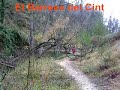 Barranc del Cint Barranc del Cint