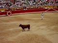 sr-cerezo-en-sanfermin-parte-ii-sec-documental-concurso-videos-sanfermin.html