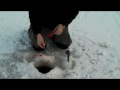 Thumbnail #1