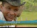 Azeite de dendê - Jornal Hoje - Rede Globo de TV - 2008 - Video