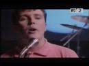TEARS FOR FEARS (everybody wants to rule the world) TEARS FOR FEARS (everybody wants to rule the world)