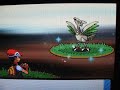 This shiny Skarmory was caught on Feb. 13, 2008. At chain 40, Stark Mountain. It came out right after a battle.I caught a total of 3 shiny Skarmory that day. The chain broke at 65.