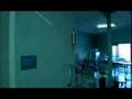 Pulley - Insects Destroy