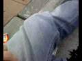 videos de Filone di Tony&Luigi a lavoro