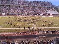 Grambling Band at Nevada halftime show