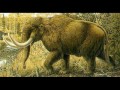 Extinct & Very Rare Animals