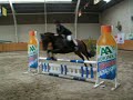 Ro, wedstrijd springen@montfort, Foutloos!