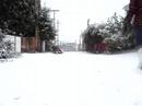 Snowsurf in Snowcouver
