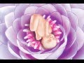Prenatal Meditation - Part 6: Mother-Child Bonding (Stages of Pregnancy Visualizations)