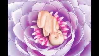 Prenatal Meditation - Part 6: Mother-Child Bonding (Stages Of Pregnancy Visualizations)