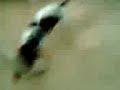 PITUFO ASESINO