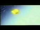 Dbz - vegita dedication 2 (princes of the universe)