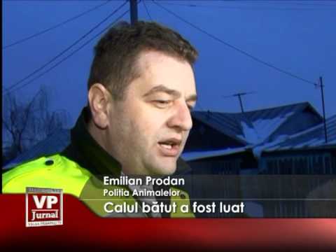 Calul bătut a fost luat