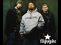 Flipsyde - Spun