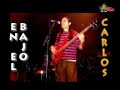 Soporte de la bersuit en salta - los monkis saltan