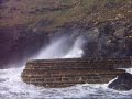 Boscastle (4) on a very windy day