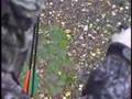 bowhunting deer ohio bowhunt bownutz