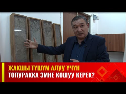 Жакшы түшүм алуу үчүн топуракка эмне кошуу керек? | АГРО ЧАРБА