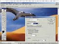 photoshop , conceptos de imagen videotutoriales.es