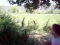 videos de sahuaripa un roll (8 parte)