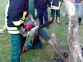 Stihl Contra