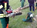 Stihl Contra