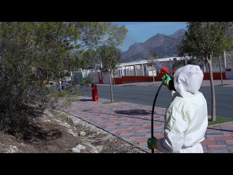 La Nucía realiza un tratamiento preventivo contra la Procesionaria del Pino