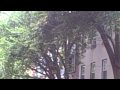 Camera Obscura - My Maudlin Career On The Road