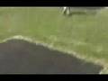 The West Buckland Olympics
