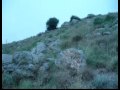 NEW PASHTO TAPY 2010.wmv