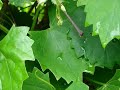 ?wiat wed?ug Jezusa - szcz??liwi kt�rzy zabiegaj? o pok�j