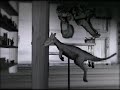 The unfinished taxidermist short