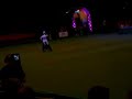 Crufts 2008 - Heelwork to Music 9 (1)