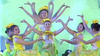 Múa Mai vàng Yên Tử - Trích Chương trình Giao lưu nghệ thuật Việt - Nhật “Yên Tử - Nơi hội tụ di sản, thắm tình hữu nghị và lan tỏa sắc hương”