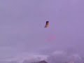 Kite Flying - Parafoil Kite Flying - Parafoil