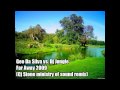BEST HOUSE ELECTRO CLUB HITS 2009-2010 TOP 10 