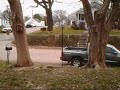 Squirrel and Critter Cam is a series of videos of the critters in my front yard. Videos feature squirrels, doves, cardinals, woodpeckers, wrens, tufted titmouse, etc.