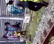 gurbet ellerde comedy klip yozgatli ve elazigli 3