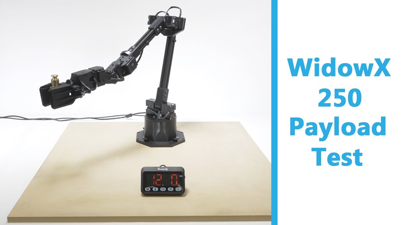WidowX 250 Payload Test