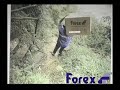 Forex Pledge Forex Pledge