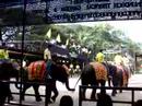 Nong Nooch show out side elephant show part 1
