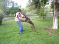 Aprendiendo Juntos