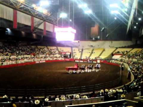 horses grand national