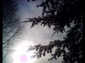 Fritz in Aktion mit Catcam