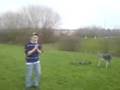 videos de punch haha