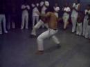 Escola de Capoeira Perna Pesada